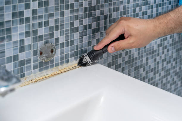 Best Black Mold Remediation in Ukiah, CA