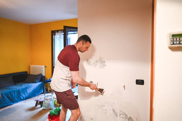 Best Attic Mold Remediation in Ukiah, CA